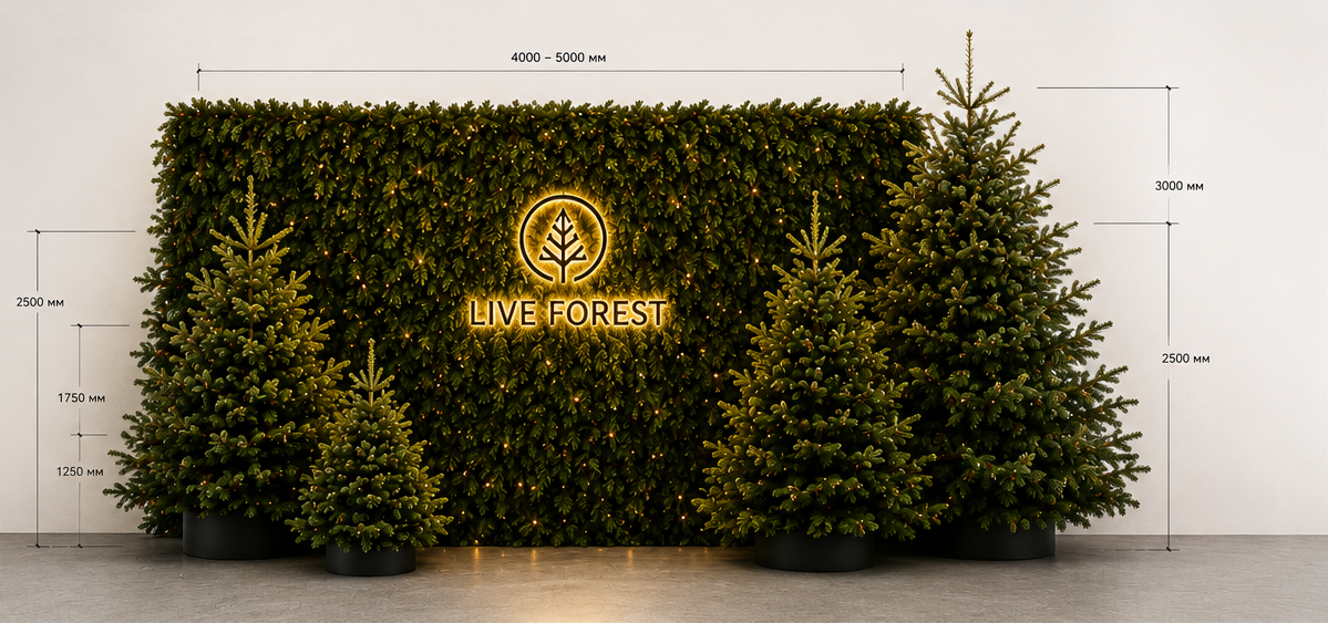 LIVE FOREST XL ИНСТАЛЯЦИЯ 2027